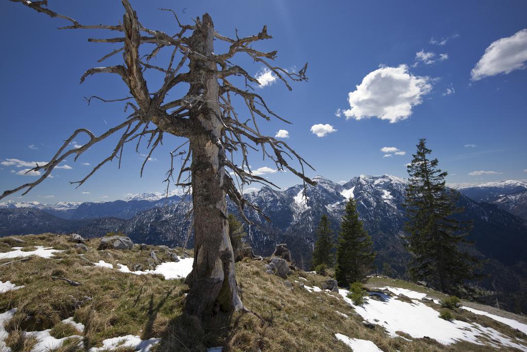 Hotel-Restaurant Zum Hirschhaus Inklusiv Chiemgaukarte Ruhpolding Dış mekan fotoğraf